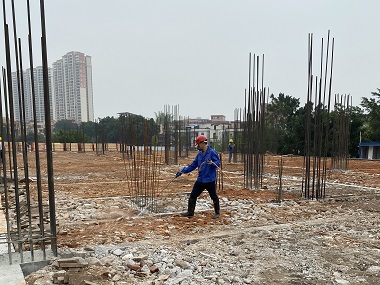 罗村白蚁备案机构地基施工前必做2件事