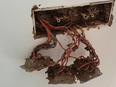 里水专业灭白蚁中心普通杀虫剂能不能灭杀白蚁